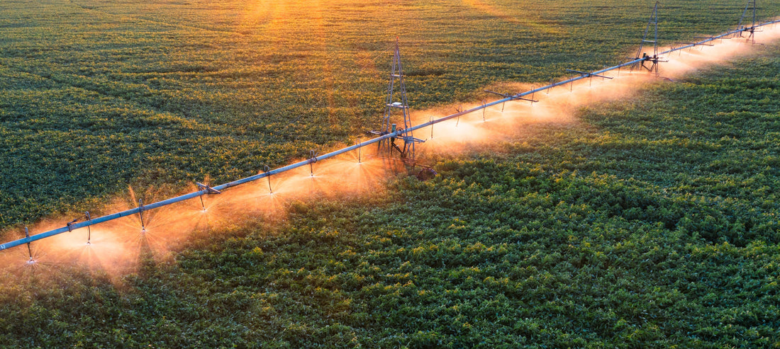 Tehmco: innovación plástica que impulsa el desarrollo agrícola de Chile
