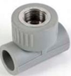 Tee PPR (Soldable / Roscable HI)